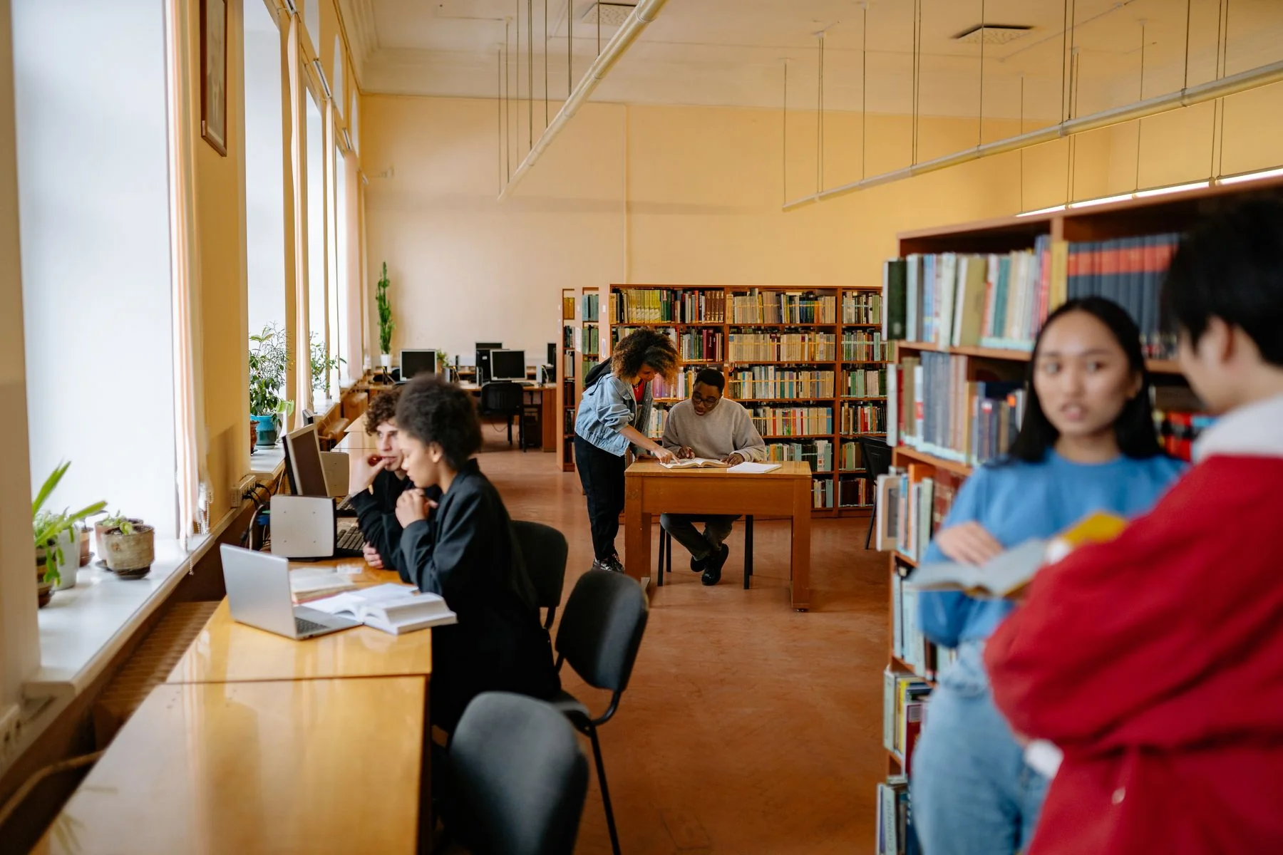 图书馆里的学生与书架，日常学习场景摄影